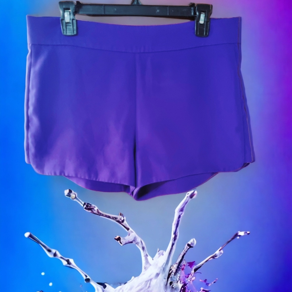 J. Crew Ladies Shorts
